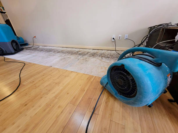 Professional Structural Drying technician working in El Segundo, CA